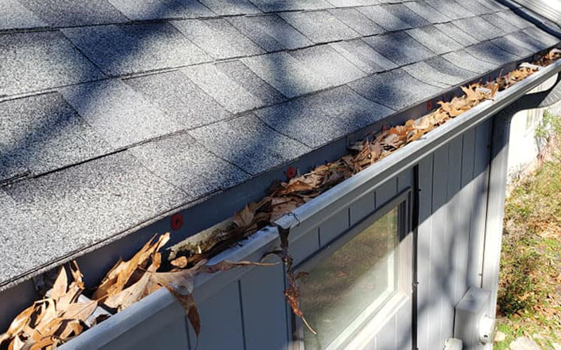 Gutter Cleaning