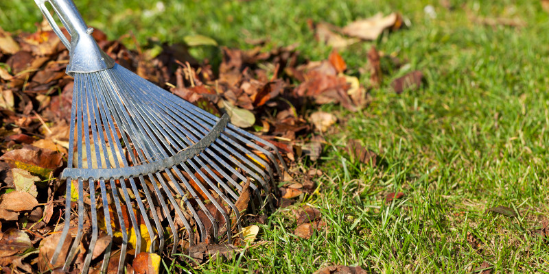 Fall Cleanup in Jacksonville, North Carolina