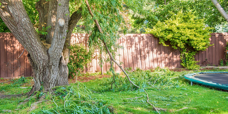 Tips for Spring Yard Cleanup