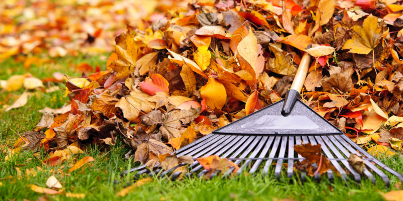 Benefits of Fall Yard Cleanup