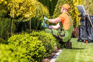 Three Easy Yard Maintenance Solutions