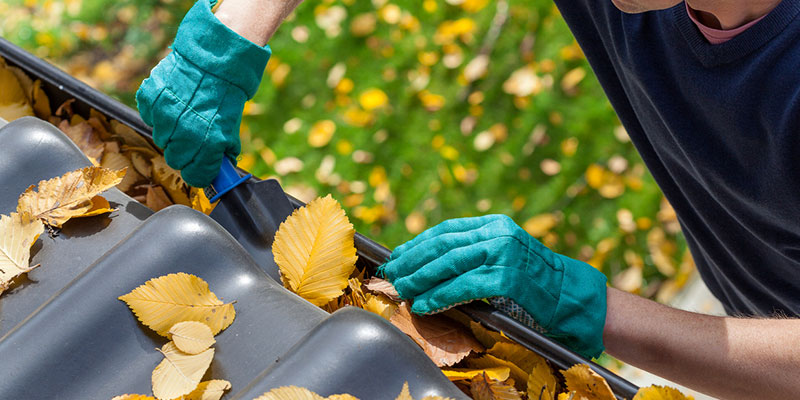 How Does Gutter Cleaning Protect Your Home?