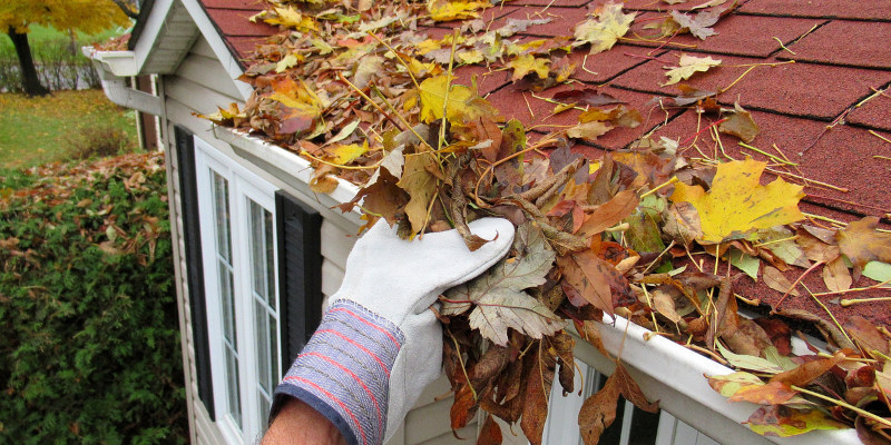 It’s Time for Fall Cleanup!