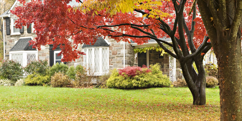 Three Benefits of Leaf Removal for Your Yard