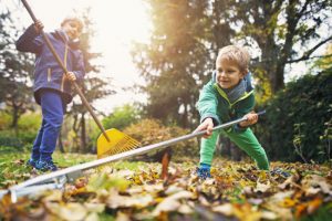 How Yard Waste Removal Helps with Summer Chores