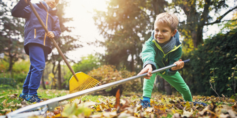 How Yard Waste Removal Helps with Summer Chores