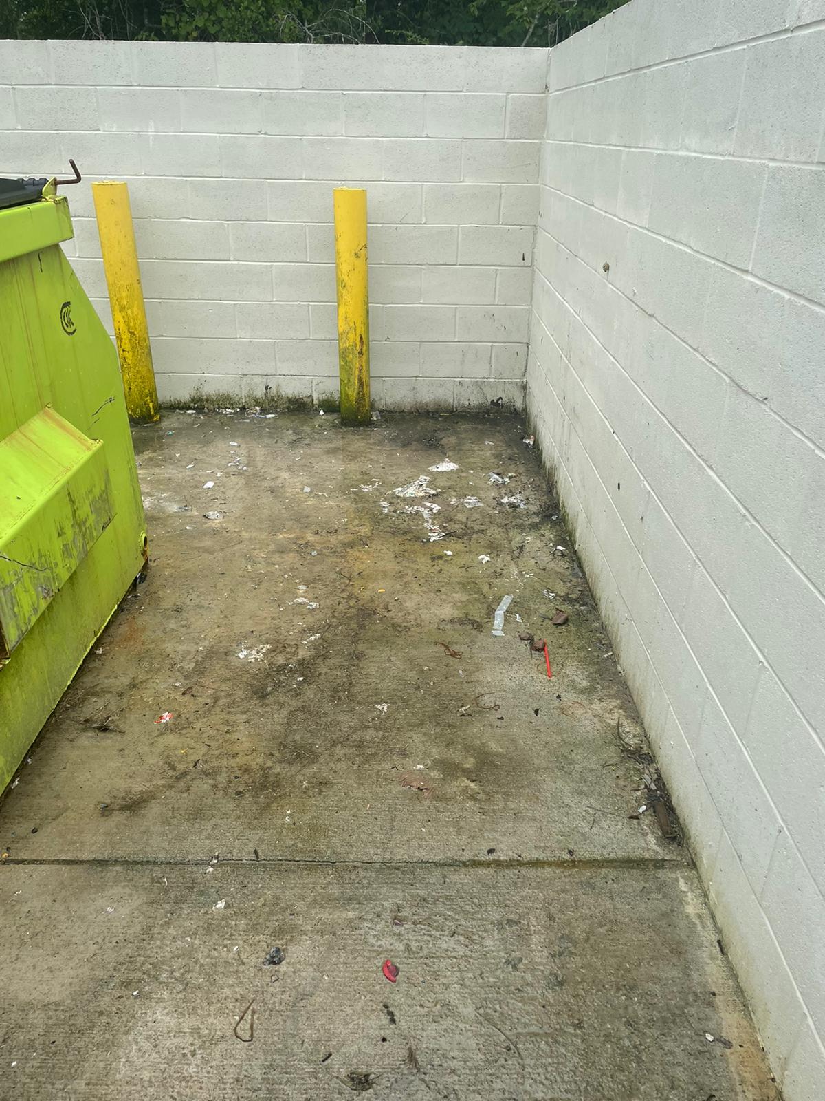 What You Need to Know About Junk Removal for Businesses