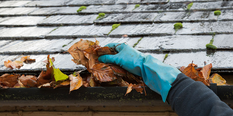 Why Scheduling Gutter Cleaning Should Be a Top Post-Holiday-Season Priority