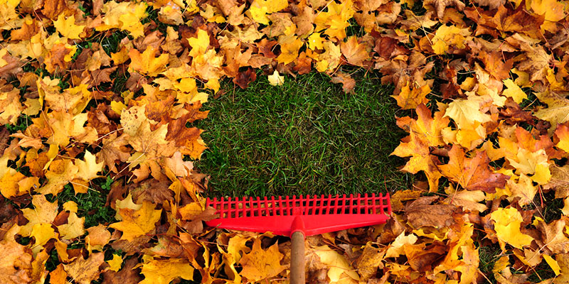 Struggling To Get Your Home Ready For The Holidays? Hire Our Fall Cleanup Crew!
