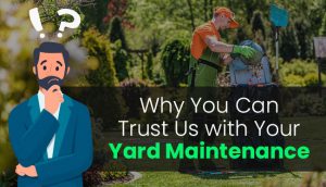 Why You Can Trust Us with Your Yard Maintenance