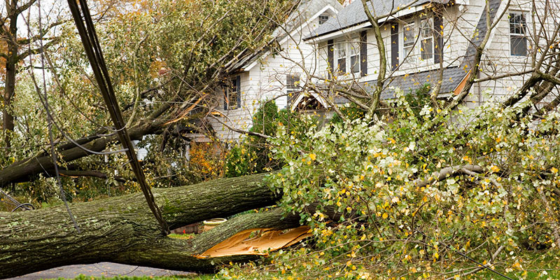 How Storm Debris Cleanup Keeps You Safe