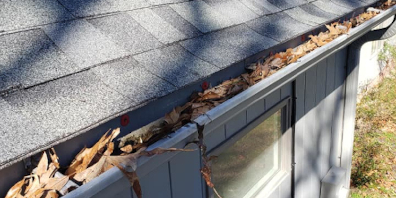Gutter Cleaning