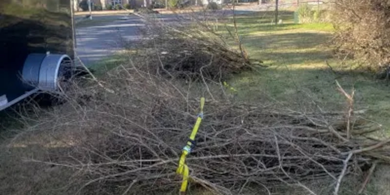 Yard Maintenance