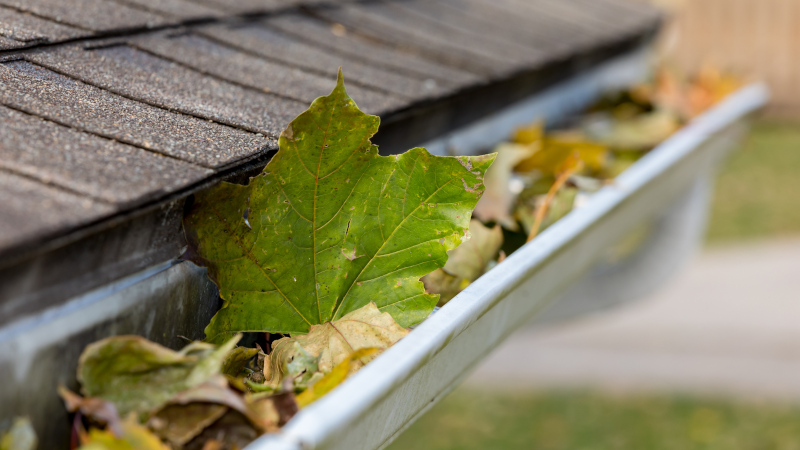 Why You Should Hire a Professional for Gutter Cleaning