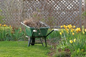 Reasons to Prioritize Spring Cleanup