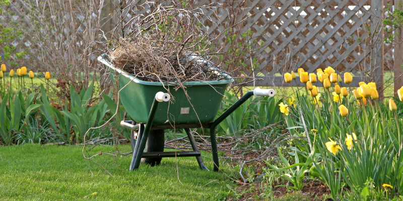 Reasons to Prioritize Spring Cleanup