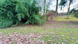 3 Benefits of Fall Cleanup